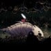 Reminder: Here's When Hollow Knight: Silksong Releases In Your Time Zone